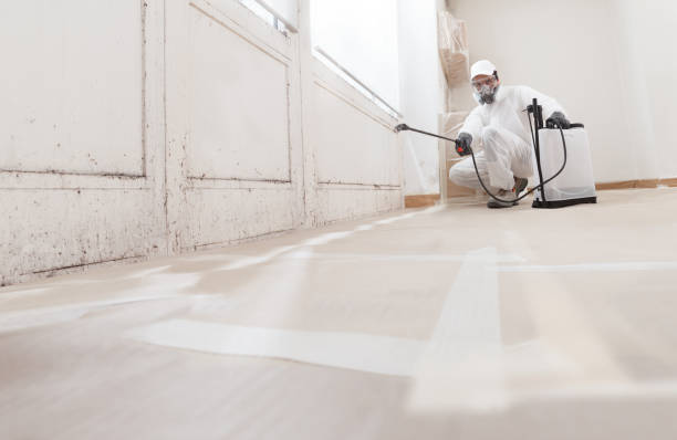 24/7 Emergency Black Mold Remediation experts in Thomaston, GA