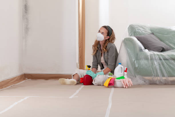 Reliable Black Mold Remediation contractor in Thomaston, GA by 24 Hour Mold Removal